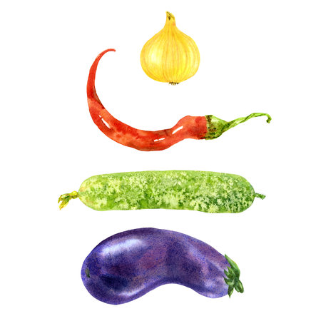 Set of four watercolor garden vegetables eggplant, cucumber, chilli pepper and onion on white backgroundの写真素材
