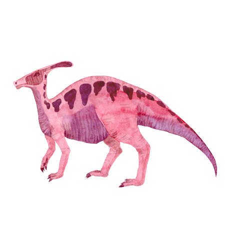 Watercolor parasaurolophus isolated on white. Hand-drawn illustration. For design, children thingsの写真素材