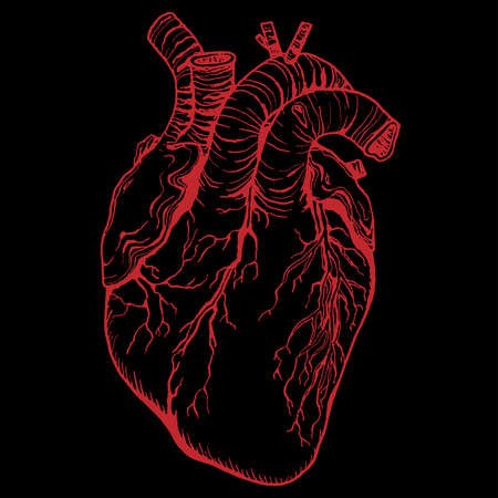Heart outline. Vector illustration. Red heart on black.のイラスト素材