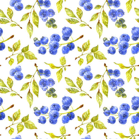Blueberry seamless pattern. Green leaves and ripe berries on white background. watercolor illustrationの写真素材