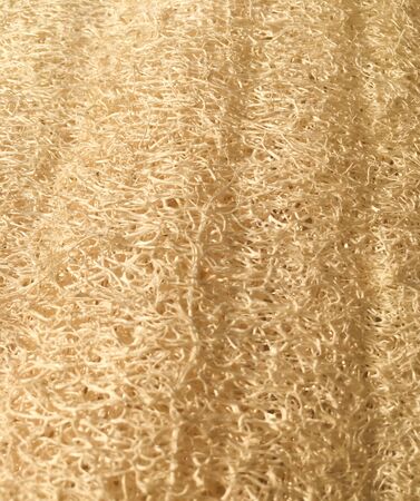 A luffa sponge. Luffa textured background.の写真素材