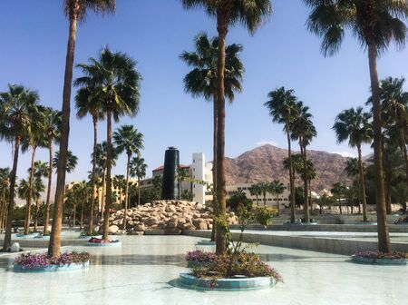 Palm trees around the fountain against the backdrop of a mosque. Arab country. Jordan, Aqaba.のeditorial素材