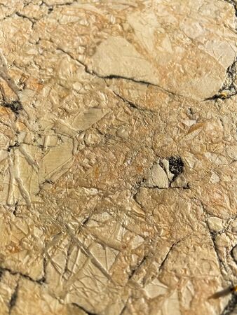 The texture of the stone with cracks. Background of natural stone.の写真素材