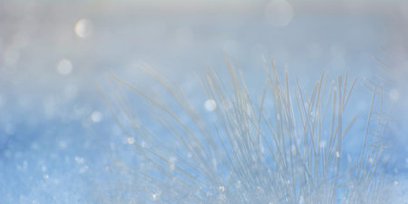 Christmas or New Year background for decoration,