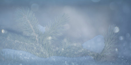 Christmas or New Year background for decoration,の写真素材