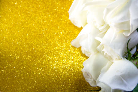 White rose buds on a gold background.の写真素材