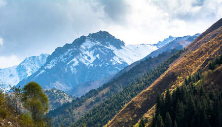 Mountain forest and snowy mountains in the Chichkan gorge Kyrgyzstan.の写真素材
