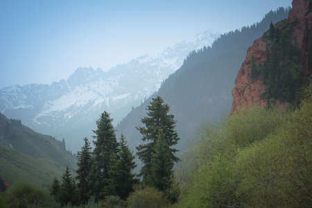 mountain green forest against the background of white glaciers in the Jeti-Oguz gorge Issyk-Kul Kyrgyzstanの写真素材