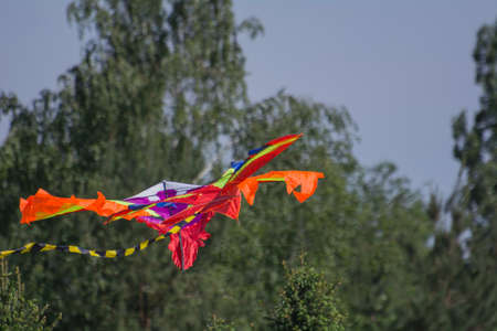 kite flying into the skyの写真素材