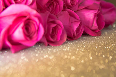 Buds of pink roses on a silver background.の写真素材