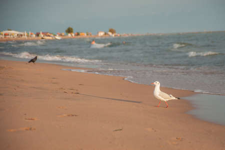 sunset on the beach of mountain lake Issyk-Kul Kyrgyzstanの写真素材