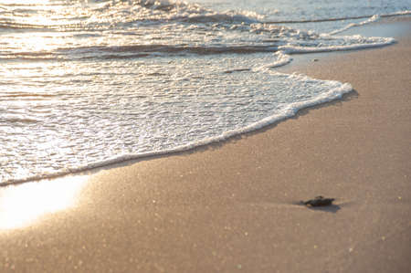 wave on the beach of mountain lake Issyk-Kul Kyrgyzstanの写真素材