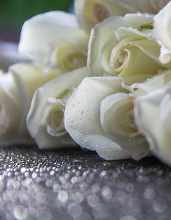 White roses with water drops on a black background.の写真素材