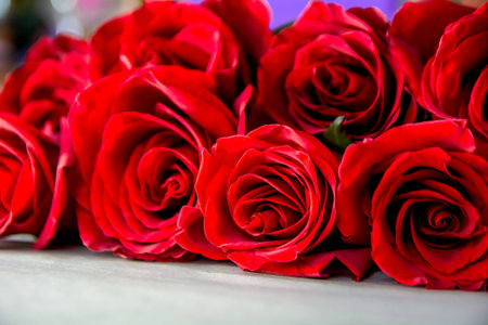 Burgundy roses, classic flowers for the background.の写真素材