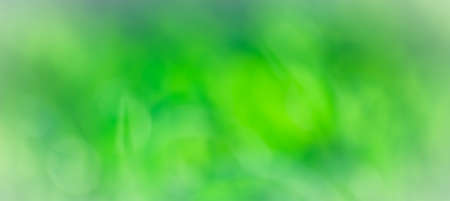 green abstract natural background for useの写真素材