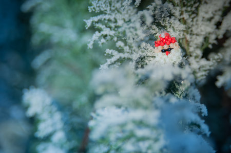 Santa Claus made of beads stands on a snowy branch of a Christmas treeの写真素材