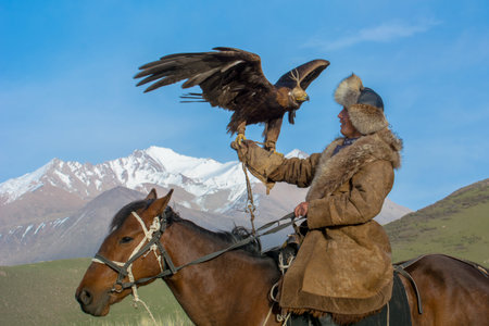 Mountain eagle sitting on the hand of a Kyrgyz man.