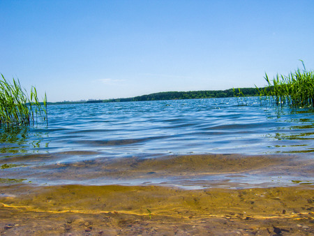 toileの写真素材