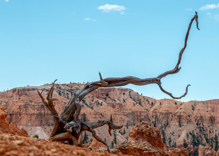 A unique natural park known for its fantastic rock formations.の写真素材