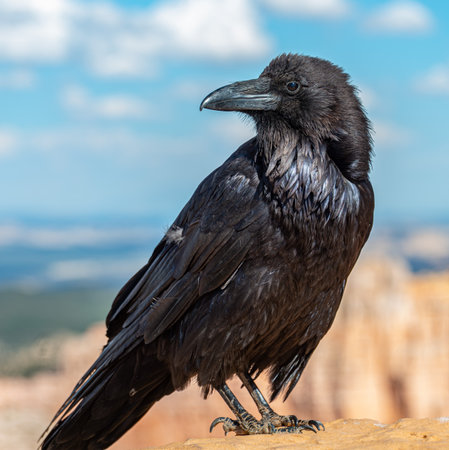 A unique natural park known for its fantastic rock formations.の写真素材