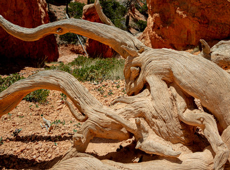 A unique natural park known for its fantastic rock formations.の写真素材