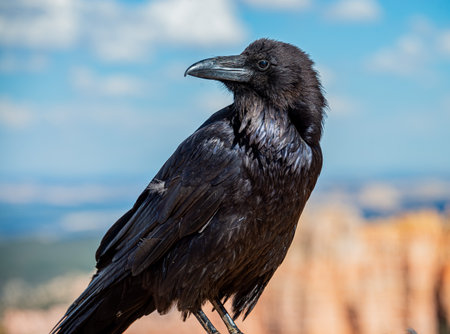 A unique natural park known for its fantastic rock formations.の写真素材