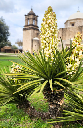 The park's territory is included in the UNESCO World Heritage list.の写真素材