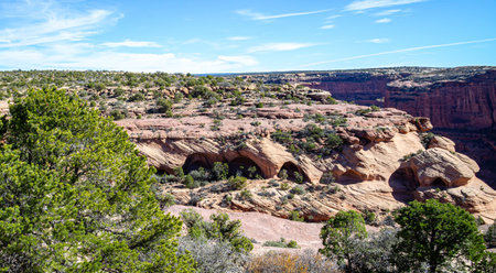 This is one of the most famous cliff dwellings in the National Monument.の写真素材