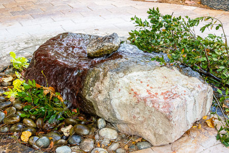 nature feels large and calm at the same timeの写真素材