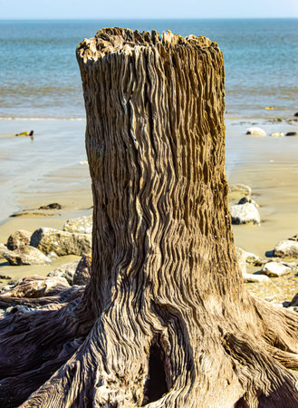 A picturesque natural and historical park on the coast.の写真素材