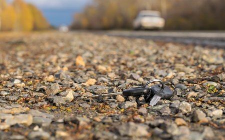 A bunch of keys lying on the road
