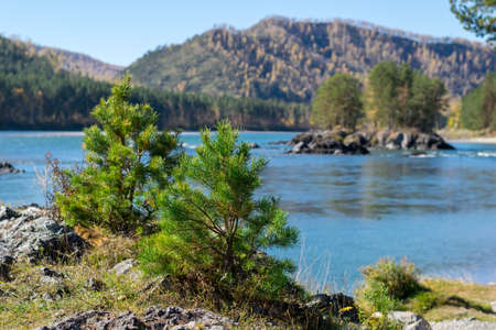 autumn landscape of the turquoise riverの写真素材