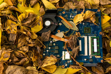 electronic circuit board in autumn leaves