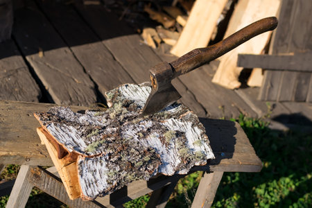 The ax on the woodshed