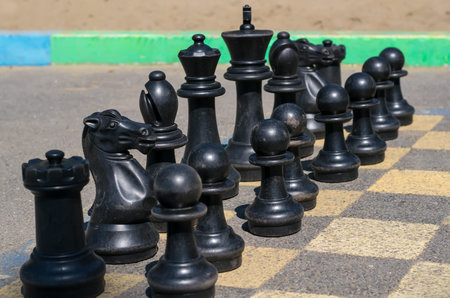 black chess set