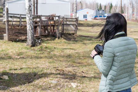 Girl photographer taking pictures of horsesの写真素材