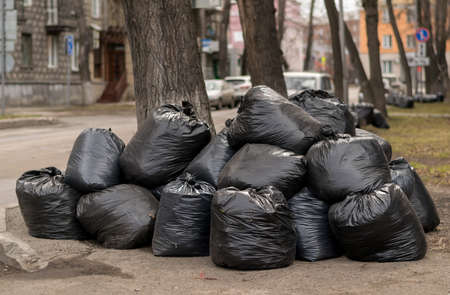 autumn leaves packed in bagsの写真素材