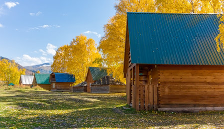 wooden tourist guest houses