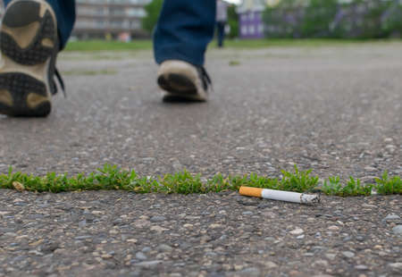 cigarette butt lies on an asphaltの写真素材
