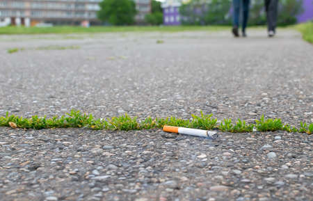 thrown smoking cigarette buttの写真素材