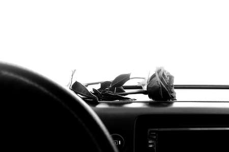 rose flower lies on the dashboard inside the carの写真素材