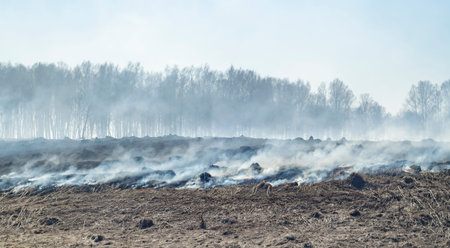 fire, flames and a lot of smoke in an agricultural fieldの写真素材