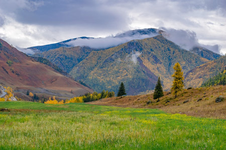 landscape of a mountain autumn rocky valley with green grass in a clearing and clouds, mists on the...