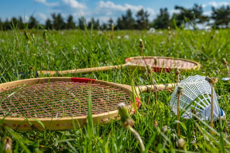 tennis rackets for badminton and a shuttlecock lie on the green grass