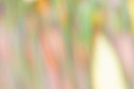soft fuzzy defocused light background pleasant to the eyes, a backdrop of multi colored stripes of pastel tonesの写真素材