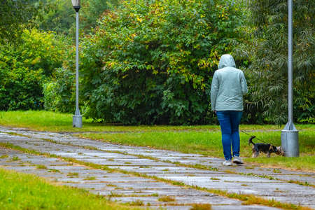 rear view, an adult woman in an autumn warm jacket walks with a dog in a city parkの写真素材