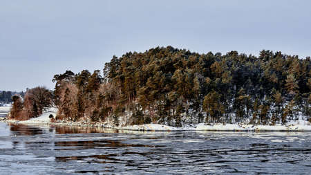 Winter forest in Sweden. nature on the shore of the fjord.の写真素材