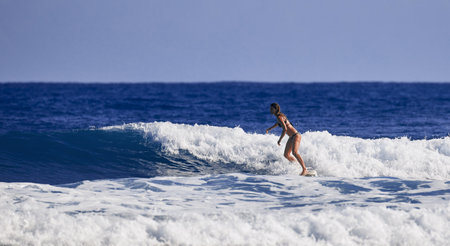 Beautiful young woman is learning to stand on a surfboard. Surf school. Water sports, Atlantic ocean Dominican Republic. 29.12.2016のeditorial素材