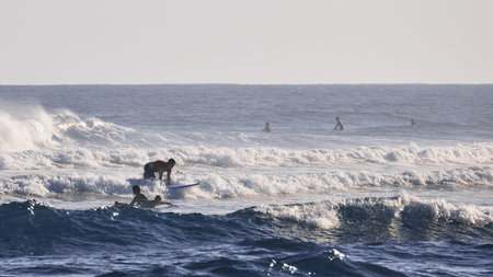 Surf school, students waiting for the first wave. Surfer on the wave. beautiful ocean wave. Water...