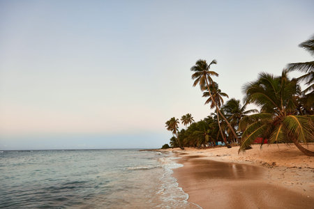 Paradise beach. Tropical paradise, white sand, beach, palm trees and clear water.